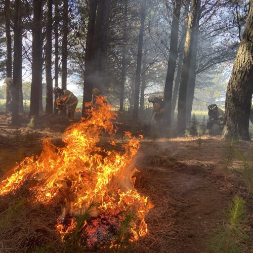 483890762_10236497403198846_5200082520599566656_n